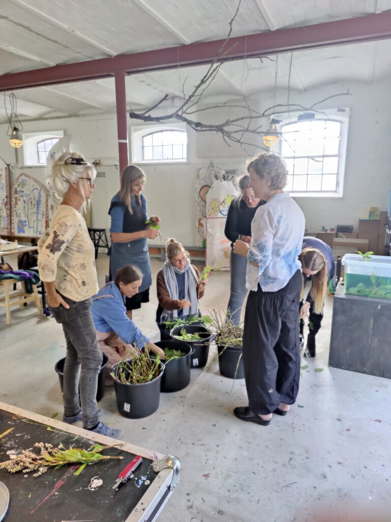people talking and working on plants, foto: Sara Gade