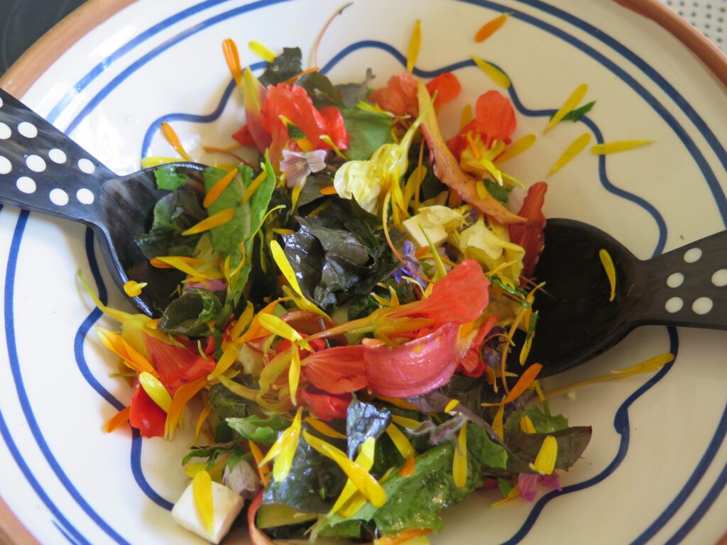 farverig salat